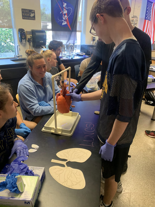 Group of students in a classroom studying Lung
