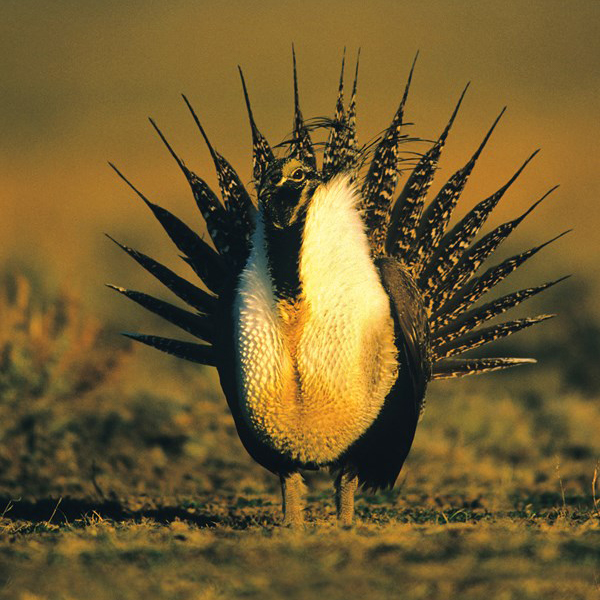 Every mine will eventually close, but that should not be the end of the story.