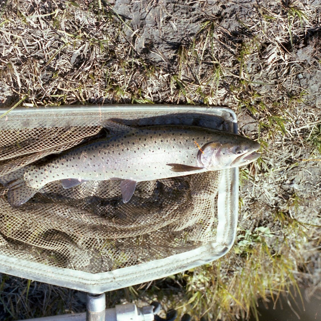 Every mine will eventually close, but that should not be the end of the story.