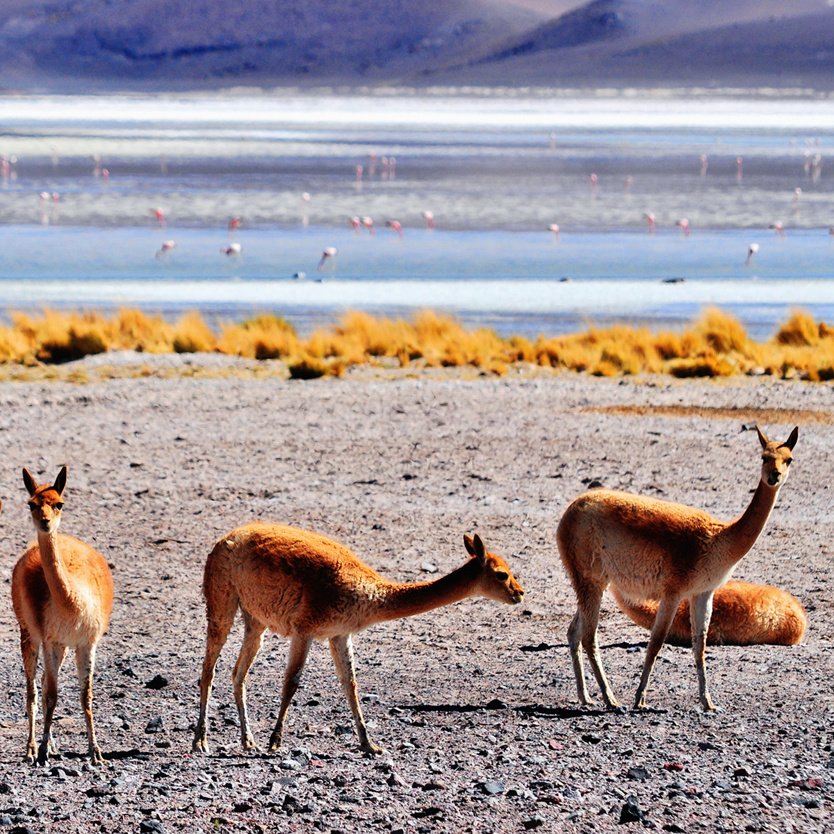 Every mine will eventually close, but that should not be the end of the story.