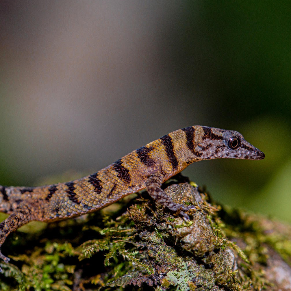 Every mine will eventually close, but that should not be the end of the story.