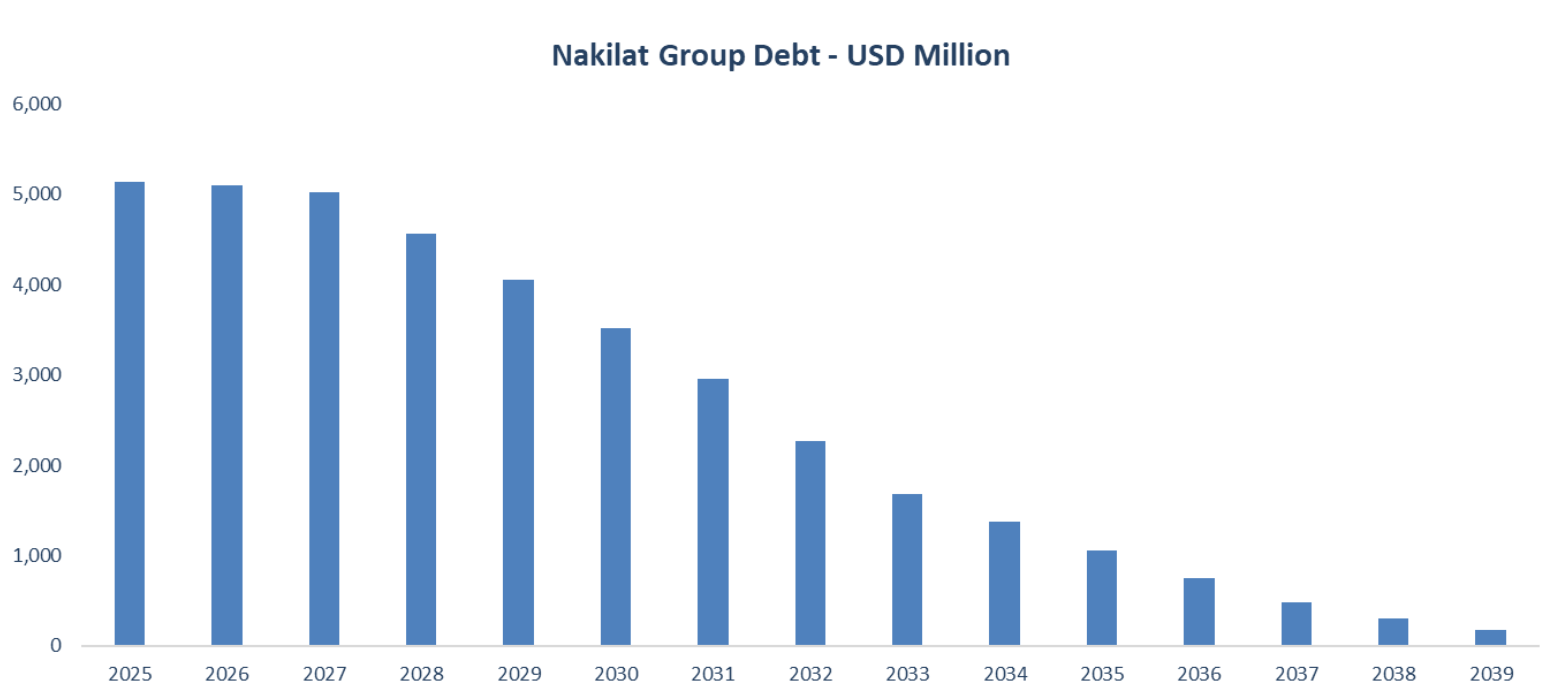 debt/maturity profile chart