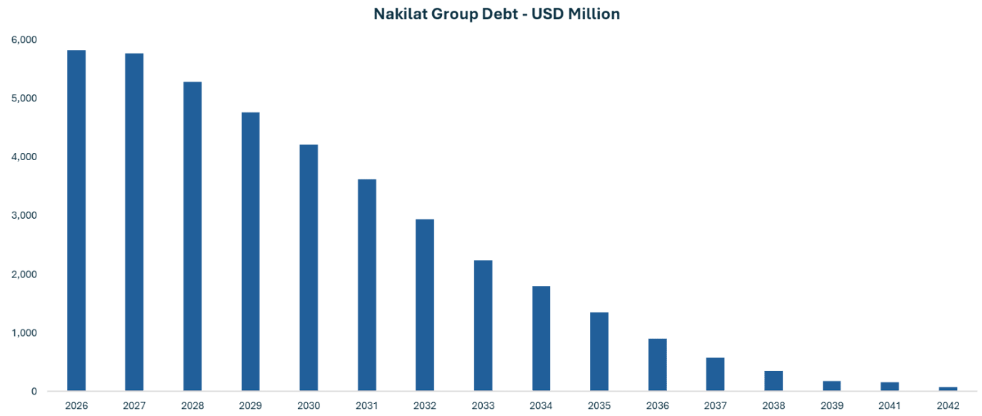 debt/maturity profile chart
