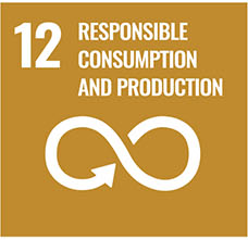 UN Sustainable Development Goal 12 — Responsible Consumption and Production