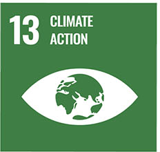 UN Sustainable Development Goal 13 — Climate Action