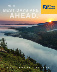 2017 Cover Image