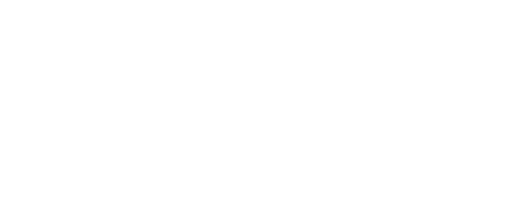Boston Omaha, logo
