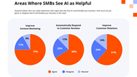 Many SMBs are gravitating to AI for marketing support, with content marketing emerging as the most popular use case.