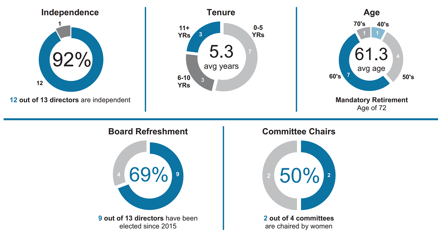 Diversity of our Directors