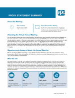Proxy Statement Summary