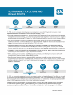 Sustainability, Culture and Human Rights